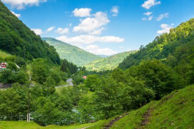 Yazın Karpatya dağlarının kırsal manzarası. uzak bölge. Dik orman yamaçları olan kırsal alan. Yeşil yuvarlanan tepelerin arasında kıvrılan yol