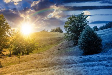 Çimenli tepedeki kayın ormanı. Gündüz ve gece zaman kavramını değiştirir. Ağaçların yemyeşil olduğu alp manzarası. Gökyüzünün altındaki ilkel orman, alacakaranlıkta güneş ve ay.