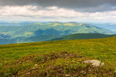 Soğuk havada dağ sıraları olan yaz manzarası. Ukrayna 'nın yağmurdan önceki yeşil ortamı. Bulutlu gökyüzünün altında benekli ışıkta alp manzarası