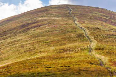 Dik tepeye giden yol. Yazın Karpatlar 'ın dağ manzarası. Güneşli bir günde mavi gökyüzünde kabarık bulutlar olan Ukrayna dağlarının çimenli dağlık manzarası. Başarı kavramına zor yol