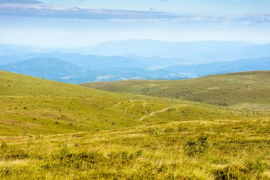 Yazın yeşil çimlerle kaplı dağ manzarası. Mavi gökyüzünün altında bulutlu dağlık bir çayır. Transcarpathia 'nın engin Alplerinde açık hava macerası