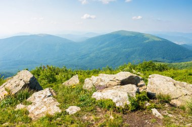 Karpatlar 'ın dağlık düzlüklerindeki alp çayırları da runa olarak bilinir. Tatil sezonu. Yazın bir tepenin kenarındaki çimen ve taşlar. Güneşli bir öğleden sonra gökyüzünde bulutlarla uzak vadiye bak.
