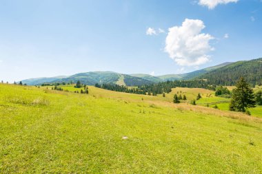 Tepedeki çimenlik arazi. Tatil sezonu. Yazın güneşli bir günde dağlık kırsal alan. Transcarpathia, Ukrayna 'daki Podobovets Vadisi. borzhava sırtı