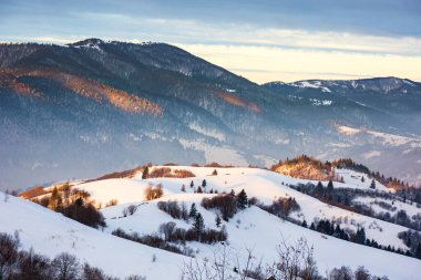 Şafak vakti dağlık kırsal alan. Manzaralı. Kar yamaçları ve Transcarpathia 'nın ormanlı yamaçları, Ukrayna. Soğuk mevsim