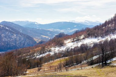 Baharda Karpatlar 'ın dağ manzarası. Güneşli bir gün. Yamaçtaki orman. Kırsal manzara