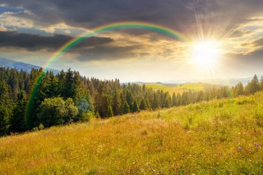 Yazın gün batımında tepede köknar ormanı olan dağ manzarası. Akşam ışığında dağların güzel doğa manzarasında yürüyüş yapmak gibi. Bulutlu gökyüzü ve gökkuşağının altındaki ormanlık alan manzarası