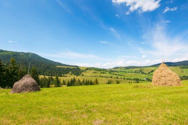 Yazın kırsal alan. Harika güneşli bir hava. Bulutlu mavi bir gökyüzünün altında samanlığı olan kırsal bir manzara. Uzaktaki Carpathian köyü
