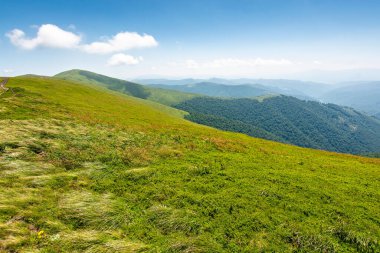 Gökyüzünde bulutlar olan dağdaki yeşil çayır. Alp macerası. Yazın Ukrayna Karpatlarının doğa manzarası. Transcarpathia 'nın harika seyahat manzarası. Ufukta yuvarlanan tepelerin manzarası