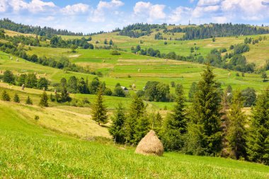 Yazın kırsal dağ manzarası. Köyün yakınındaki yeşil tepede saman yığını. Ukrayna 'nın Borzhava Tepesi eteğindeki alp manzarası öğleden sonra ışığı altında