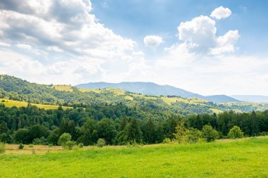 Ukrayna 'nın güzel kırsalları. yeşil organik çayır. Güneşli bir gün. Karpat Dağları 'ndaki manzaralı yaz manzarası. Çimen tarlaları ve yuvarlanan tepeler. Kırsal alan. Ağaçlar yemyeşil