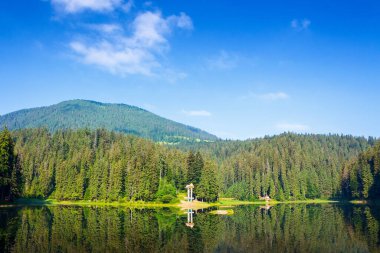 Kozalaklı ormanların arasında göl manzaralı bir yer. Transcarpathia 'da hafta sonu tatili ve fotoğrafçılık için güzel bir yer. Mavi gökyüzü ile huzurlu güneşli bir yaz sabahı