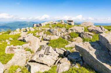 Yazın Karpatlar 'ın sıradağlık arazisi. Tepenin kenarındaki çimenli çayırlar arasında sabah güneşinde kocaman beyaz keskin taşlarla güzel dağlık bir manzara. Uzaktaki açık manzaraya çarpıcı bir manzara
