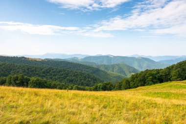 Güneşli bir yaz sabahında alp çayırları. Valley 'in muhteşem panoramik manzarası. Yamaçta kayın ormanı olan kayın manzarası. Mavi gökyüzünün altında kabarık bulutlu uzak kornohora dağ sırtı