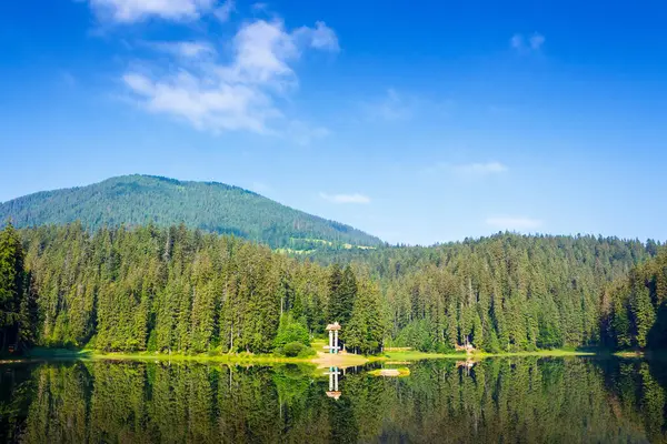 Kozalaklı ormanların arasında göl manzaralı bir yer. Transcarpathia 'da hafta sonu tatili ve fotoğrafçılık için güzel bir yer. Mavi gökyüzü ile huzurlu güneşli bir yaz sabahı