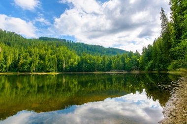 Yazın orman gölü olan uzak bir dağ manzarası. Güneşli bir günde Sinnevyr Ulusal Parkı 'nın doğa gezisi. Kozalaklı ağaçların suda yansıyan manzarası. Ukrayna 'da tatil sezonu