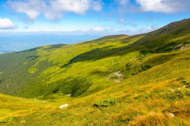 Yuvarlanan tepeleri olan harika bir dağ manzarası. Petros Dağı 'nın manzarası harika. Karpatlar 'da yaz macerası. Kabarık bulutlu mavi gökyüzü. Alp manzarası öğlen vakti benekli ışıkta