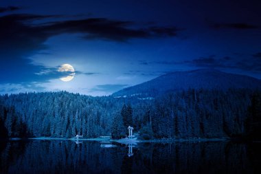 Geceleri kozalaklı ormanların arasında göl manzarası. Dolunay ışığında dağlardaki ilkel ormanların sakin yansıması.