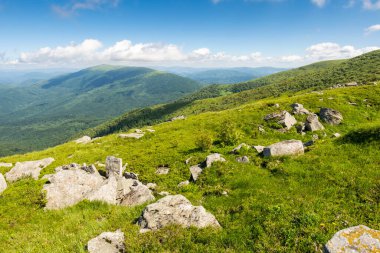 Yazın yeşil dağlık tepeler ve yamaçlar. Mavi gökyüzünün altında bulut olan çimlerin arasında taş ve kayalarla kaplı bir manzara. Yeşil çevre. Güneşli bir sabahta Ukrayna dağlarında manzaralı tatiller