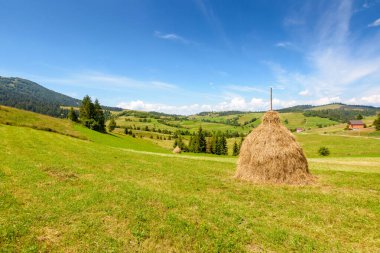 Yazın kırsal dağ manzarası. Köyün yakınındaki yeşil tepede saman yığını. Ukrayna 'nın Borzhava Tepesi eteğindeki alp manzarası öğleden sonra ışığı altında