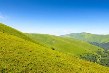 Yazın dağ manzarasının güzelliğini keşfedin. Öğle vakti Karpat Alpleri 'nin görkemli manzarası. resim turizmi macera ve eğlence merkezi