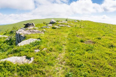 Yazın harika bir Karpatya dağ manzarası. Açık hava macerası. Çimenli yamaçtaki çayırlarda taşlar ve taşlar. Gökyüzünde bulutların olduğu güzel bir manzara öğleden sonra aydınlığında. manzara görünümü