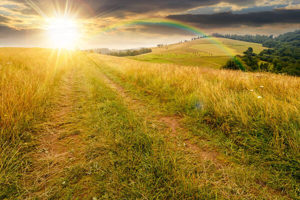 travel mountain landscape with path through meadow in summer at sunset. nature background with cloudy sky. trail winding among grass in the direction forest. countryside in evening light under rainbow