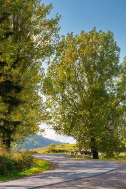Güneşli bir akşamda dağ geçidi. Tepenin aşağısındaki ağaçların arasında dolanan yol.