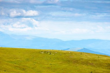 Yazın yeşil çimlerle kaplı dağ manzarası. Mavi gökyüzünün altında bulutlu dağlık bir çayır. Transcarpathia bölgesinin manzaralı seyahat geçmişi. güneşli bir gün