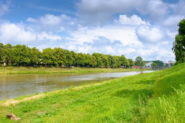 Yaz mevsiminde bir nehir kenarı. Güneşli bir günde Avrupa 'nın en uzun ıhlamur yolu. Mavi gökyüzünün altında, su kenarında bulutlu yemyeşil ağaçların manzarası. Ukrayna 'nın güzel şehir manzarası seyahat için