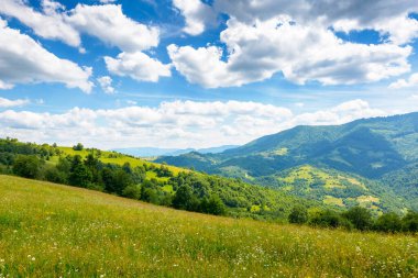 Yazın geniş çayırlı dağ manzarası. Güneşli bir öğleden sonra kabarık bulutlu bir gökyüzü. Çayırdaki yeşil çimenler tepelerin arasından kırsal alanda Ukrayna 'nın uzak Alp Vadisi' ne doğru akıyor.