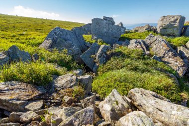 Karpat Dağları 'ndaki Alpler' deki kayalar. Yazın harika bir seyahat manzarası. Tepedeki çimlerin arasında kumtaşı manzaralı bir manzara. Güneşli bir günde mavi gökyüzü ve bulutlarla Ukrayna 'nın alp manzarası
