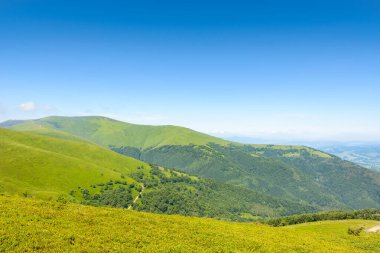 Yazın dağ manzarasının güzelliğini keşfedin. Yeşil tepeler ve dik yamaçlarla manzaralı bir yolculuk. Alp ortamı açık mavi gökyüzü altında.
