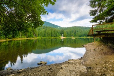 Yazın orman gölü olan uzak bir dağ manzarası. Güneşli bir günde Sinnevyr Ulusal Parkı 'nın doğa gezisi. Kozalaklı ağaçların suda yansıyan manzarası. Ukrayna 'da tatil sezonu