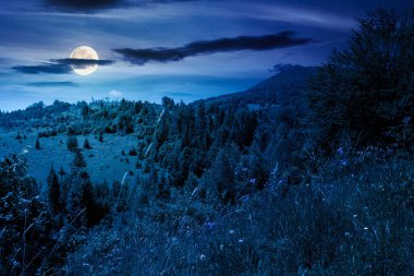 Geceleri tepenin üzerinde ormanlar olan yaz manzarası. Yükseklerin dolunay ışığında manzarası. Yürüyüş ve rahatlama için açık hava macerası ve seyahat geçmişi. Koyu mavi gökyüzünün altındaki manzara