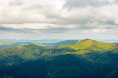 Fırtına altında yeşil hostra zirvesi olan dağ manzarası. Karpatya havzasının güzel yaz manzarası. Noktalı ışıkta vadi manzarası. Ulraine Dağları 'nda açık hava macerası