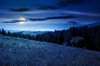 Yazın geceleri tepenin üzerinde köknar ormanı olan dağ manzarası. Dolunay ışığında Alp Dağları 'nın güzel doğa manzarasında yürüyüş yapmak. Mavi gökyüzünün altındaki bulutlu ormanlık alan manzarası