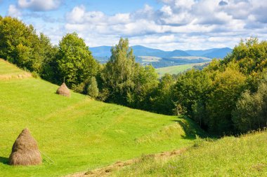 Yazın Karpat Dağları 'nda kırsal alan. Borzhava sırtı vadisinde ağaçlarla ve tarlalarla manzaralı. Kırsal manzara, çimenli tepede, mavi gökyüzünün altında, bulutlu.