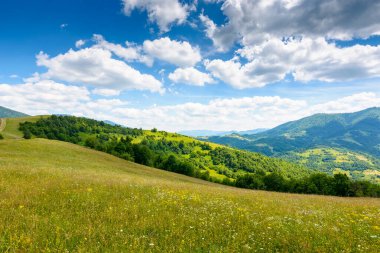 Yazın geniş çayırlı dağ manzarası. Güneşli bir öğleden sonra kabarık bulutlu bir gökyüzü. Çayırdaki yeşil çimenler tepelerin arasından kırsal alanda Ukrayna 'nın uzak Alp Vadisi' ne doğru akıyor.