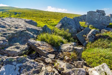 Karpat Dağları 'ndaki Alpler' deki kayalar. Yazın harika bir seyahat manzarası. Tepedeki çimlerin arasında kumtaşı manzaralı bir manzara. Güneşli bir günde mavi gökyüzü ve bulutlarla Ukrayna 'nın alp manzarası