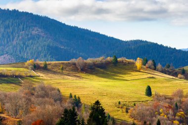 Sonbaharda Karpatlar 'ın manzarası. Yuvarlanan tepelerde orman ve çayır olan dağlık bir arazi. Güneşli bir günde sonbaharda seyahat etmek için güzel bir Ukrayna manzarası.