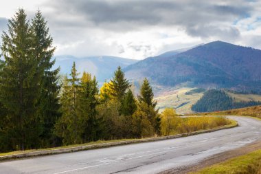 Sonbaharda dağ manzarası boyunca yol. Sabah ışığında kırsal bir manzara. Transcarpathia 'nın volovets bölgesinin kırsal bölgesinde asfalt asfalt asfalt boyunca uzanan ladin ağaçları görülüyor. Ukrayna 'ya seyahat
