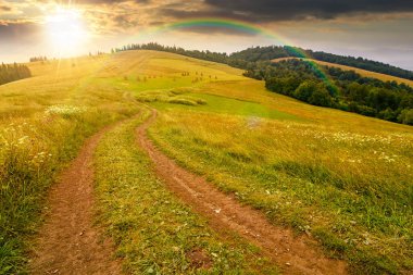 Yazın gün batımında çayırların arasından geçerek dağ manzarasını dolaşmak. Bulutlu gökyüzü ile doğa arka planı. Ormana doğru otların arasında dolanan patika. Gökkuşağının altında kırsal alanda akşam ışığında