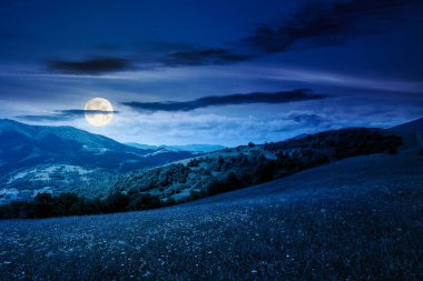 Yazın geceleri geniş çayırlı dağ manzarası. Kara bulutlu gökyüzü. Çayırdaki çimenler, dağların arasından kırsal alanda dolunay ışığında uzak Alp Vadisi 'ne yuvarlanıyor.