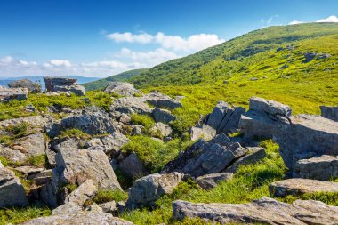 Karpat Dağları 'ndaki Alpler' deki kayalar. Yazın harika bir seyahat manzarası. Tepedeki çimlerin arasında kumtaşı manzaralı bir manzara. Güneşli bir günde mavi gökyüzü ve bulutlarla Ukrayna 'nın alp manzarası