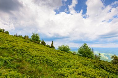 Yeşil tepeli ve bulutlu gökyüzü olan manzaralı yaz manzarası. Yokuştan vadiye kadar manzara. Karpatya dağlarında kırsal tatil