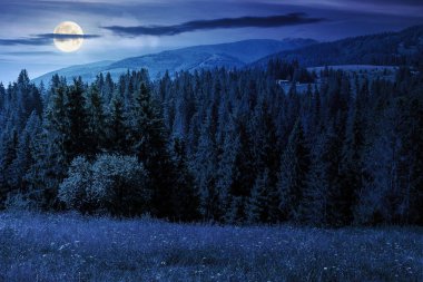 Yazın geceleri tepenin üzerinde köknar ormanı olan dağ manzarası. Dolunay ışığında Alp Dağları 'nın güzel doğa manzarasında yürüyüş yapmak. Mavi gökyüzünün altındaki bulutlu ormanlık alan manzarası