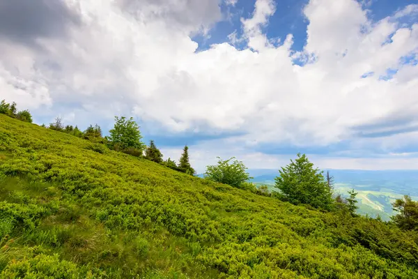Yeşil tepeli ve bulutlu gökyüzü olan manzaralı yaz manzarası. Yokuştan vadiye kadar manzara. Karpatya dağlarında kırsal tatil
