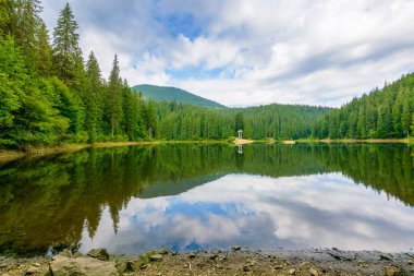 Yazın orman gölü olan uzak bir dağ manzarası. Güneşli bir günde Sinnevyr Ulusal Parkı 'nın doğa gezisi. Kozalaklı ağaçların suda yansıyan manzarası. Ukrayna 'da tatil sezonu