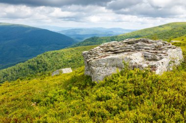 Yazın tepede taşlarla kaplı dağ manzarası. Seyahat için Karpatların doğası. Vadinin güzel manzarası. Bulutlu gökyüzünün altındaki yeşil alp yamacında kumtaşı