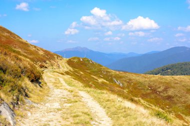 Çimenli Alp Çayırı 'ndan geçen toprak dağ yolu. Sonbahar öğleden sonrası ışığında harika bir açık hava macerası. Transcarpathia, Ukrayna 'nın krasna sırtı boyunca yürüyüş. Mavi gökyüzündeki bulutlar